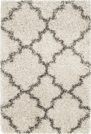 Safavieh Hudson Shag SGH282A Ivory/Grey Area Rug 