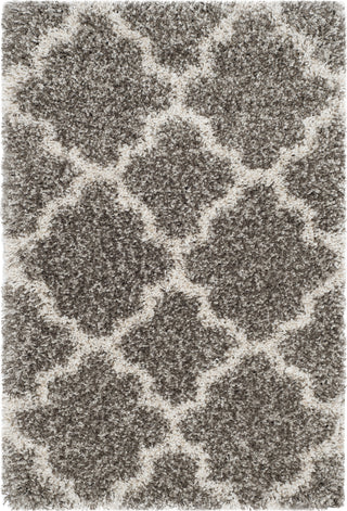 Safavieh Hudson Shag SGH282B Grey/Ivory Area Rug 