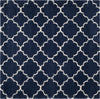 Safavieh Hudson Shag SGH282C Navy/Ivory Area Rug 