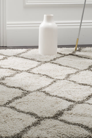 Safavieh Hudson Shag SGH283A Ivory/Grey Area Rug 