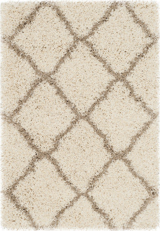 Safavieh Hudson Shag SGH283D Ivory/Beige Area Rug 