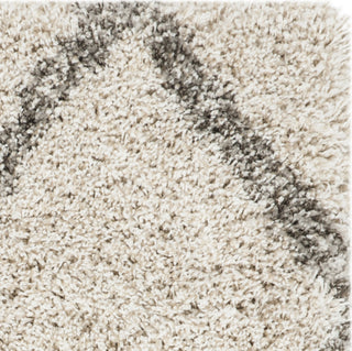 Safavieh Hudson Shag SGH329A Ivory/Grey Area Rug 