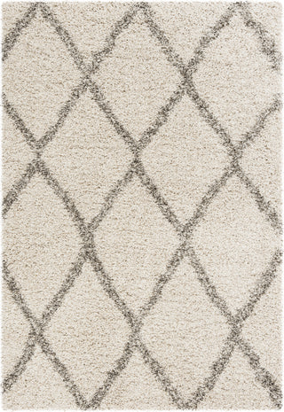 Safavieh Hudson Shag SGH329A Ivory/Grey Area Rug 