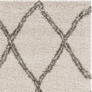 Safavieh Hudson Shag SGH329A Ivory/Grey Area Rug 