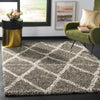 Safavieh Hudson Shag SGH329B Grey/Ivory Area Rug 