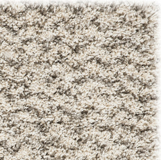 Safavieh Hudson Shag SGH330A Ivory/Grey Area Rug 