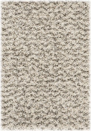 Safavieh Hudson Shag SGH330A Ivory/Grey Area Rug 