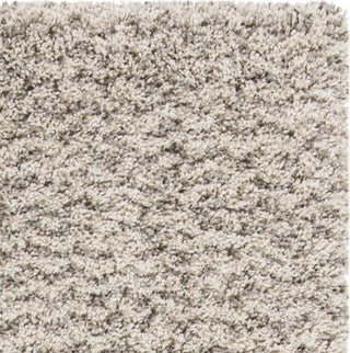 Safavieh Hudson Shag SGH330A Ivory/Grey Area Rug 