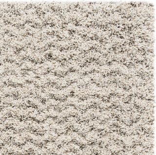 Safavieh Hudson Shag SGH330A Ivory/Grey Area Rug 