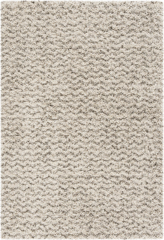 Safavieh Hudson Shag SGH330A Ivory/Grey Area Rug 