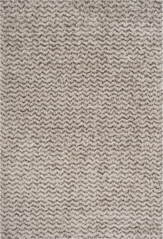 Safavieh Hudson Shag SGH330A Ivory/Grey Area Rug main image