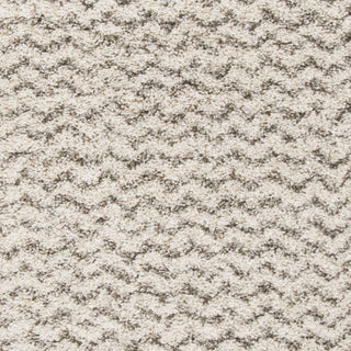 Safavieh Hudson Shag SGH330A Ivory/Grey Area Rug 