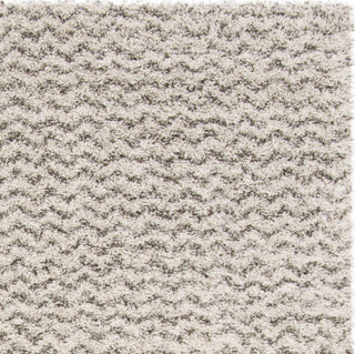 Safavieh Hudson Shag SGH330A Ivory/Grey Area Rug 