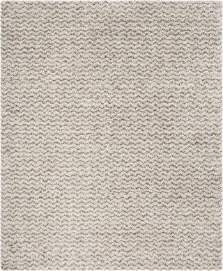 Safavieh Hudson Shag SGH330A Ivory/Grey Area Rug 