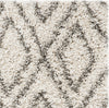 Safavieh Hudson Shag SGH332A Ivory/Grey Area Rug 