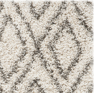 Safavieh Hudson Shag SGH332A Ivory/Grey Area Rug 