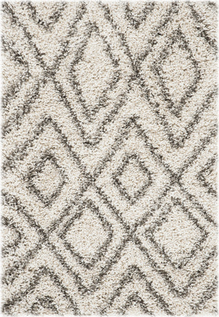 Safavieh Hudson Shag SGH332A Ivory/Grey Area Rug 