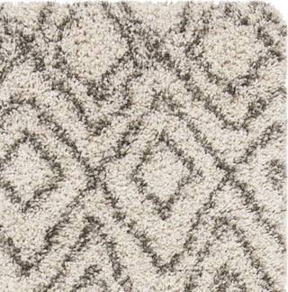 Safavieh Hudson Shag SGH332A Ivory/Grey Area Rug 