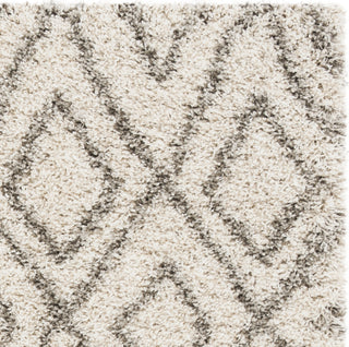 Safavieh Hudson Shag SGH332A Ivory/Grey Area Rug 