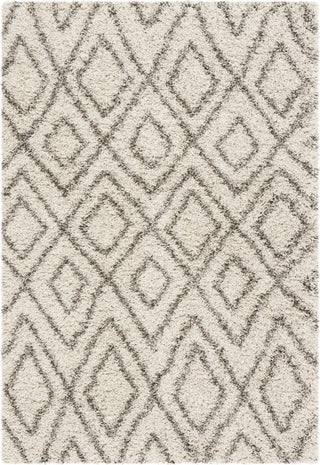 Safavieh Hudson Shag SGH332A Ivory/Grey Area Rug 