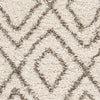 Safavieh Hudson Shag SGH332A Ivory/Grey Area Rug 