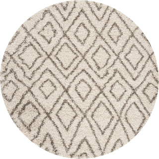 Safavieh Hudson Shag SGH332A Ivory/Grey Area Rug 