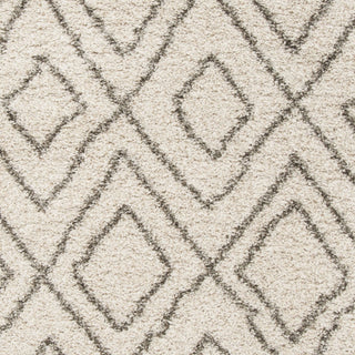 Safavieh Hudson Shag SGH332A Ivory/Grey Area Rug 