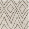 Safavieh Hudson Shag SGH332A Ivory/Grey Area Rug 