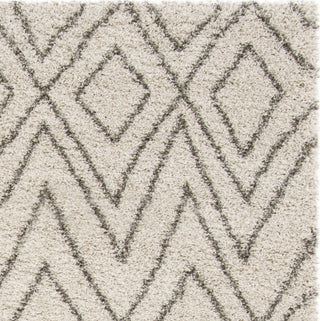 Safavieh Hudson Shag SGH332A Ivory/Grey Area Rug 