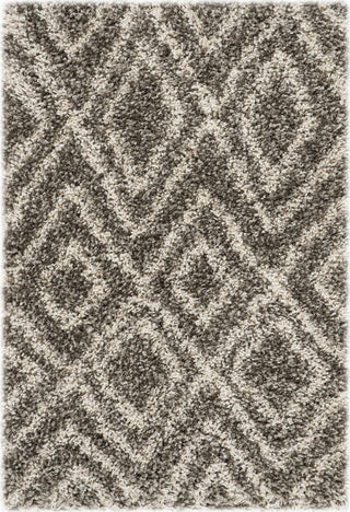 Safavieh Hudson Shag SGH332B Grey/Ivory Area Rug 