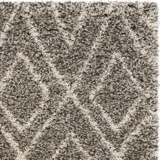 Safavieh Hudson Shag SGH332B Grey/Ivory Area Rug 