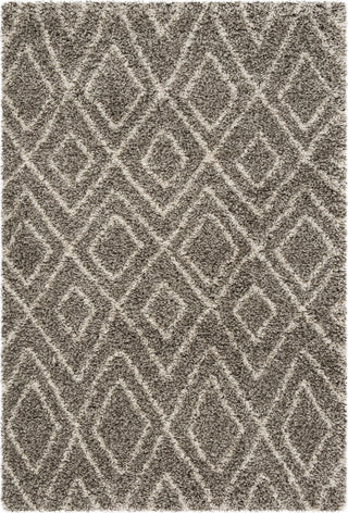 Safavieh Hudson Shag SGH332B Grey/Ivory Area Rug 