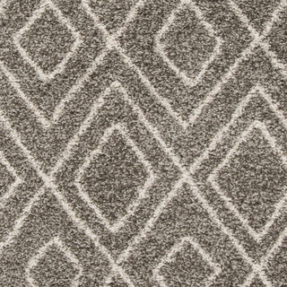 Safavieh Hudson Shag SGH332B Grey/Ivory Area Rug 