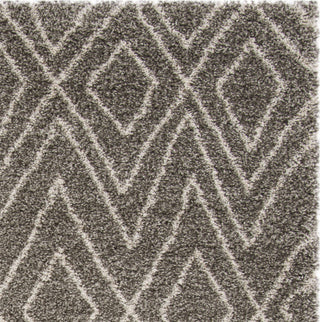 Safavieh Hudson Shag SGH332B Grey/Ivory Area Rug 