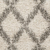 Safavieh Hudson Shag SGH333A Ivory/Grey Area Rug 