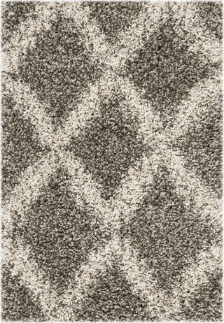 Safavieh Hudson Shag SGH333B Grey/Ivory Area Rug 