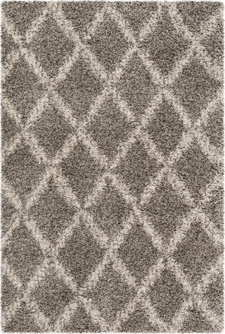 Safavieh Hudson Shag SGH333B Grey/Ivory Area Rug 