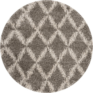 Safavieh Hudson Shag SGH333B Grey/Ivory Area Rug 