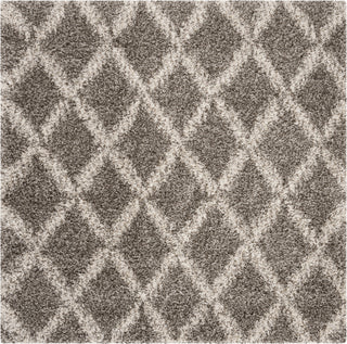 Safavieh Hudson Shag SGH333B Grey/Ivory Area Rug 