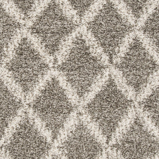 Safavieh Hudson Shag SGH333B Grey/Ivory Area Rug 