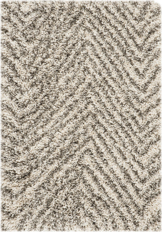 Safavieh Hudson Shag SGH375A Ivory/Grey Area Rug 