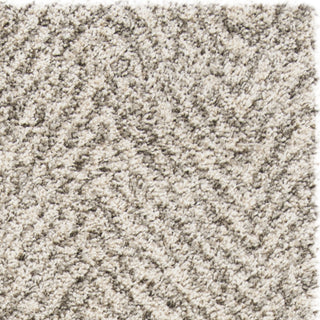 Safavieh Hudson Shag SGH375A Ivory/Grey Area Rug 