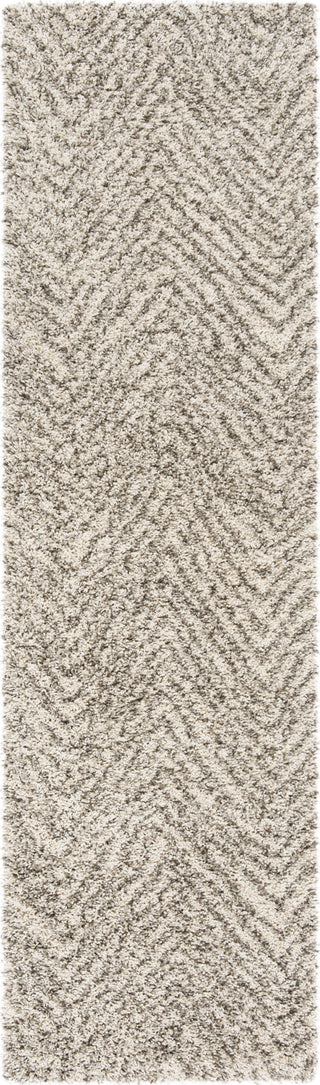 Safavieh Hudson Shag SGH375A Ivory/Grey Area Rug 