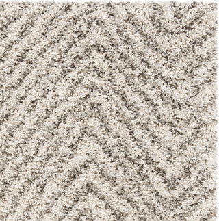 Safavieh Hudson Shag SGH375A Ivory/Grey Area Rug 