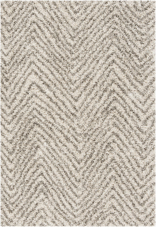 Safavieh Hudson Shag SGH375A Ivory/Grey Area Rug 