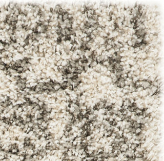 Safavieh Hudson Shag SGH376A Ivory/Grey Area Rug 