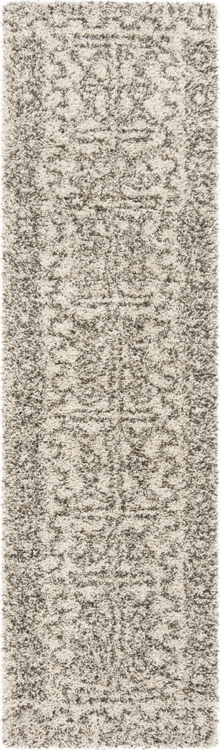 Safavieh Hudson Shag SGH376A Ivory/Grey Area Rug 