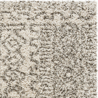 Safavieh Hudson Shag SGH376A Ivory/Grey Area Rug 