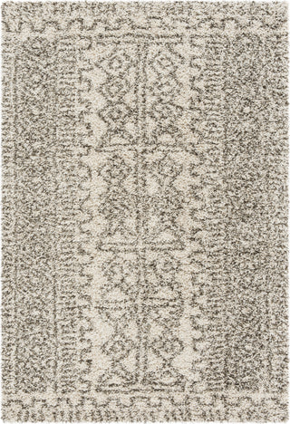 Safavieh Hudson Shag SGH376A Ivory/Grey Area Rug 