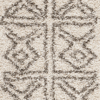 Safavieh Hudson Shag SGH376A Ivory/Grey Area Rug 